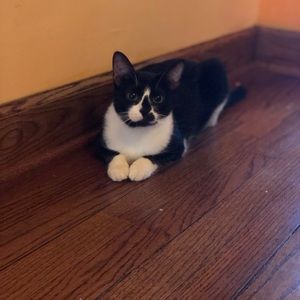 Meet your Posher, April